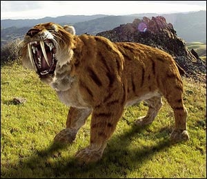 saber-tooth-tiger.jpg
